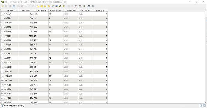 shapefile_parcels_sen4cap